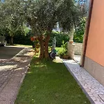 Apartments Nadia Umag